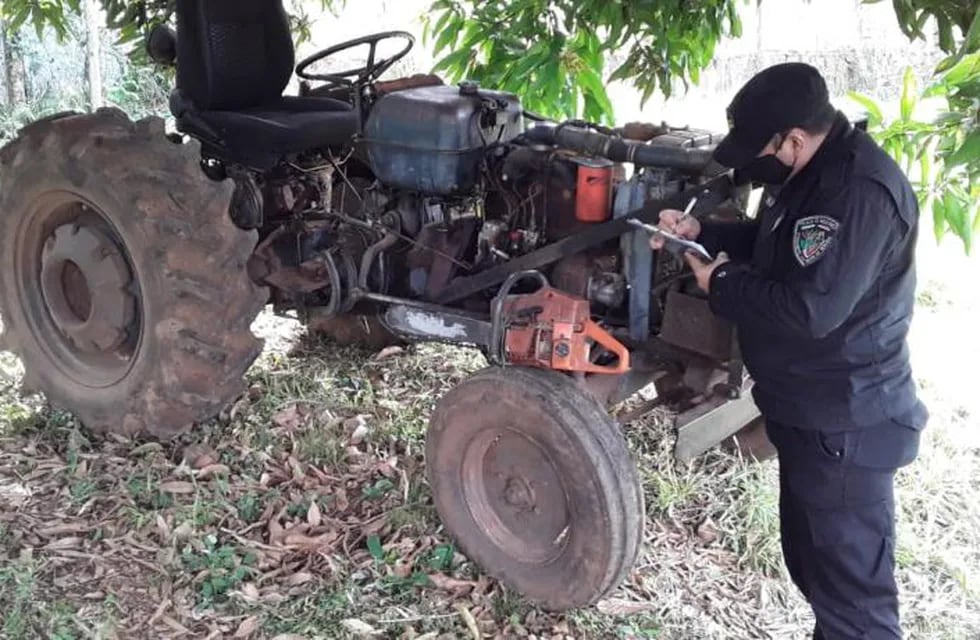 Nuevamente, el apeo ilegal de madera golpea a Misiones.