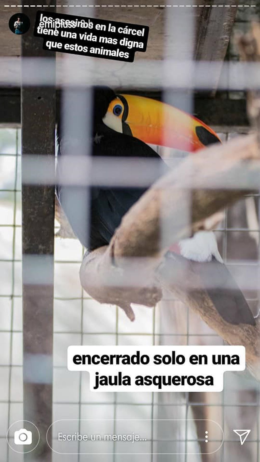Candelaria Tinelli se sumó al pedido de un cordobés por el cierre del Zoo Córdoba.