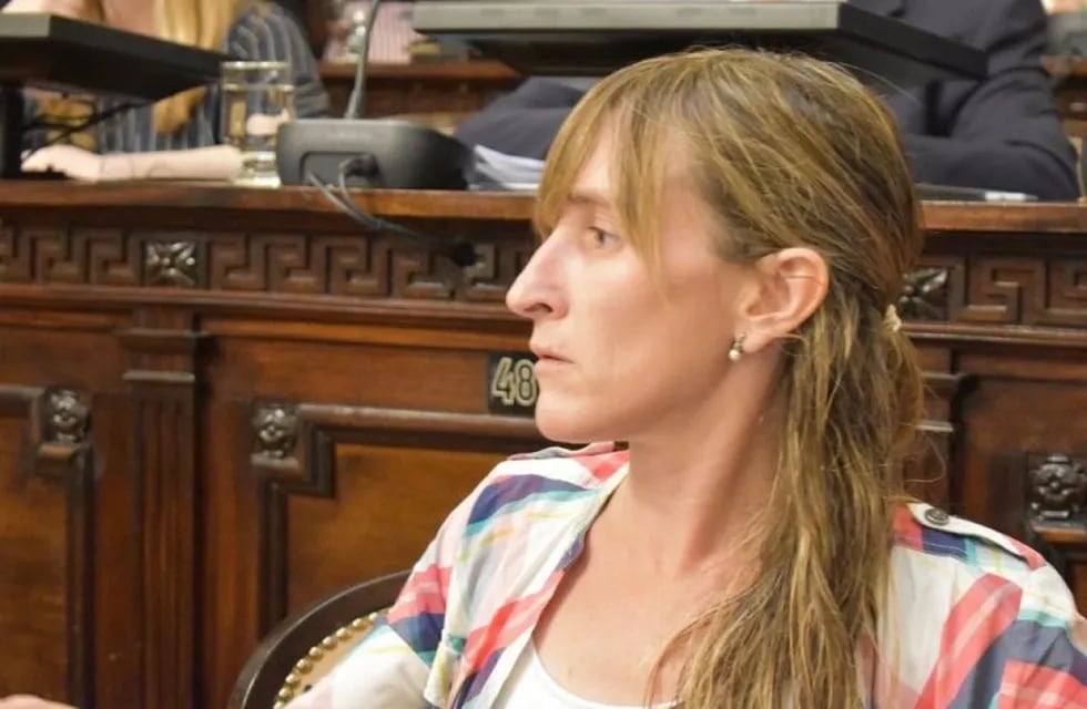 La diputada del Partido Demócrata, Mercedes Llano anunció el retiro de su partido del frente gubernamental.