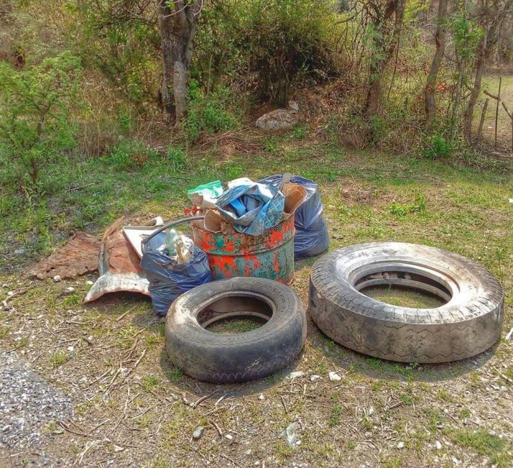 Unos 12 neumáticos y hasta bolsas con restos de animales en su interior. (Foto: "Amigos del Lago San Roque").