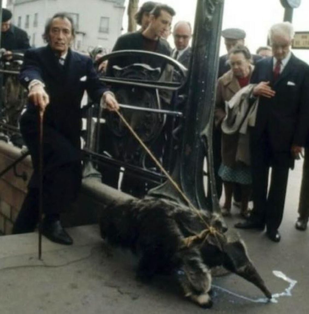 Salvador Dalí pasea a su mascota, un oso hormiguero, en París en 1969.