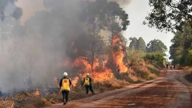 Los incendios intencionales no cesan: continúan denunciando focos en Pozo Azul