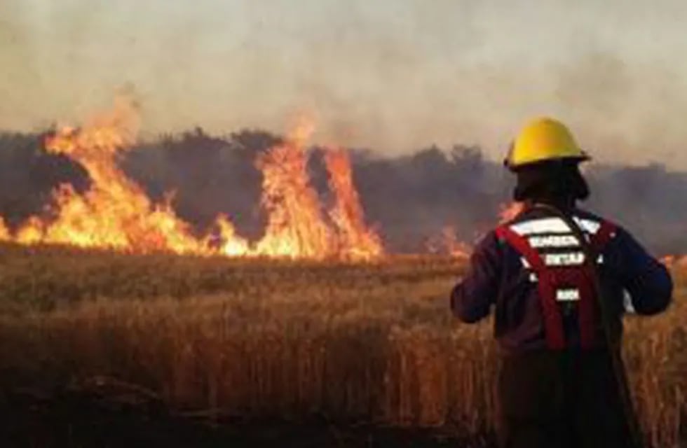 El segundo incendio ocurrió en La Remonta (Tunuyu00e1n) y, si bien fue de menor tamau00f1o, quemó unas 800 hectu00e1reas de terreno