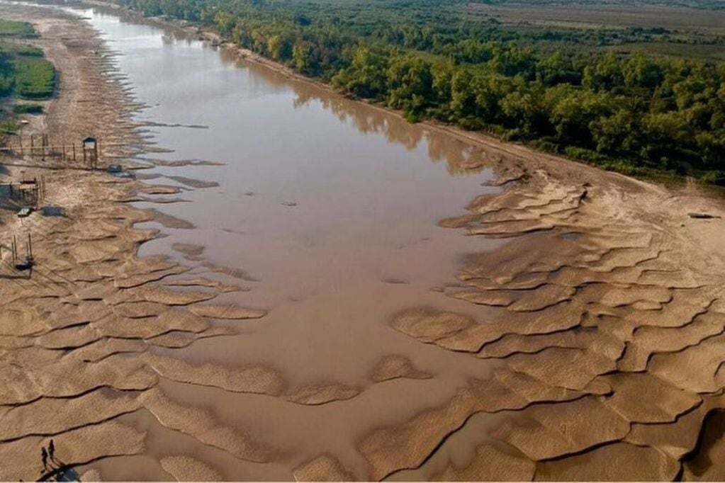 A la falta de agua en el río Paraná, se suma la muerte de millones de peces.