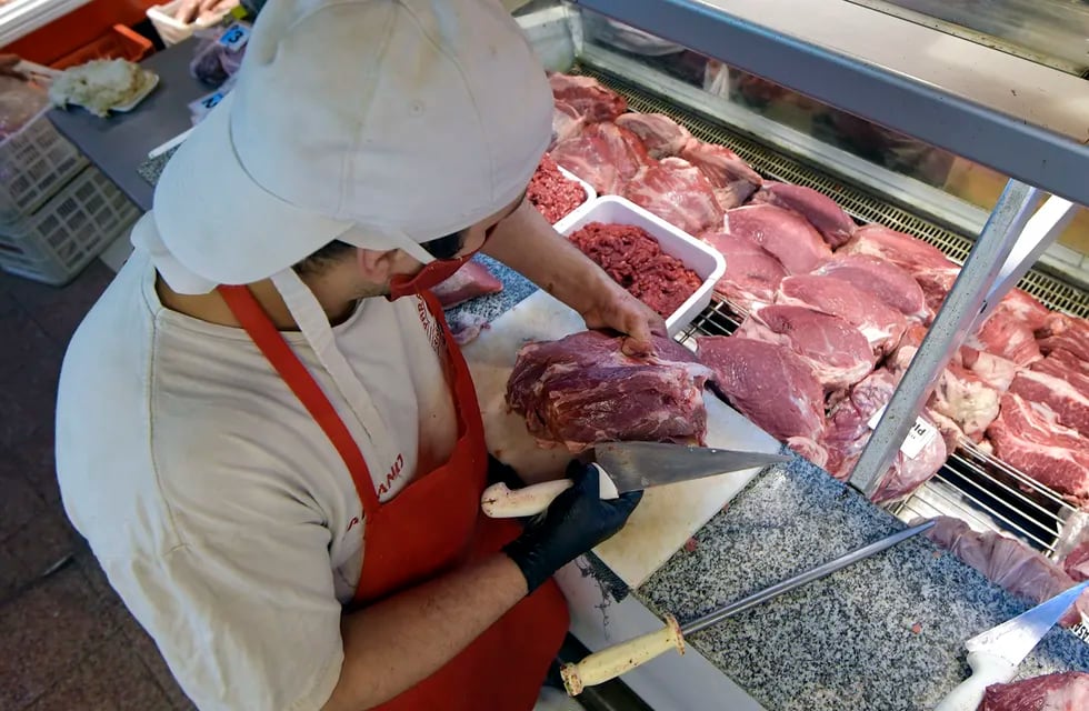 La carne sorprende lo que aumentó en la última década: de poder comprar 32 kilos con $1.000 a poder adquirir tan solo 1 kilo.