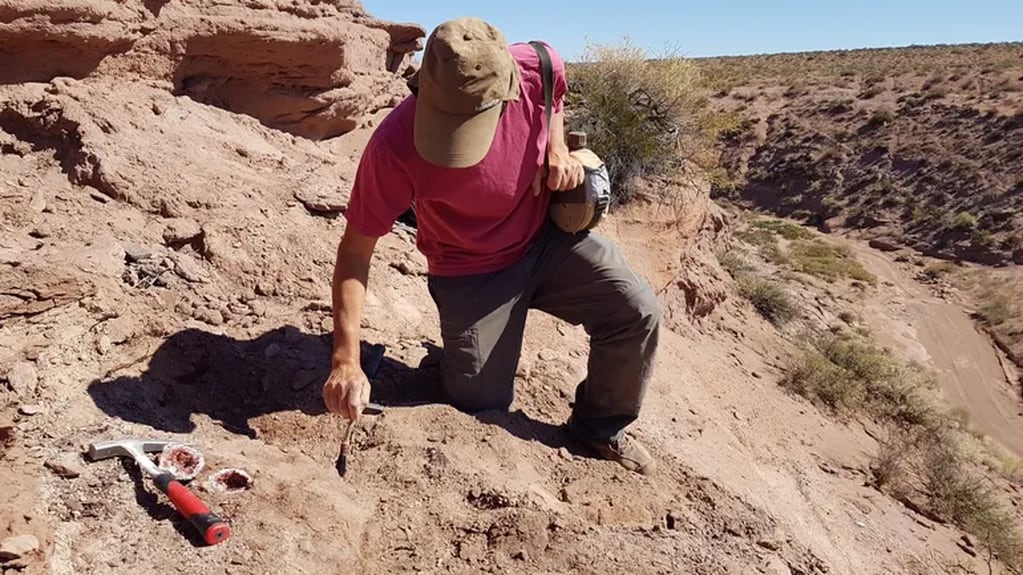 Hallaron una única piedra preciosa en Argentina.