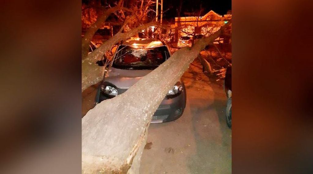 Los troncos provocaron daños en un auto que estaba estacionado (Facebook)