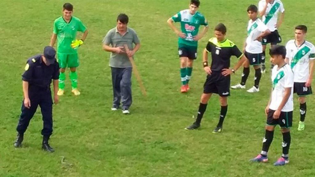 Una culebra obligó a detener un partido de fútbol en Entre Ríos