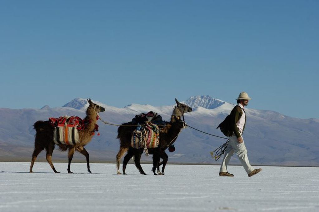 "Caravana de Llamas" es un emprendimiento turístico que desde Tilcara (Jujuy) se muestra al mundo a través de la aplicación Zoom de video.