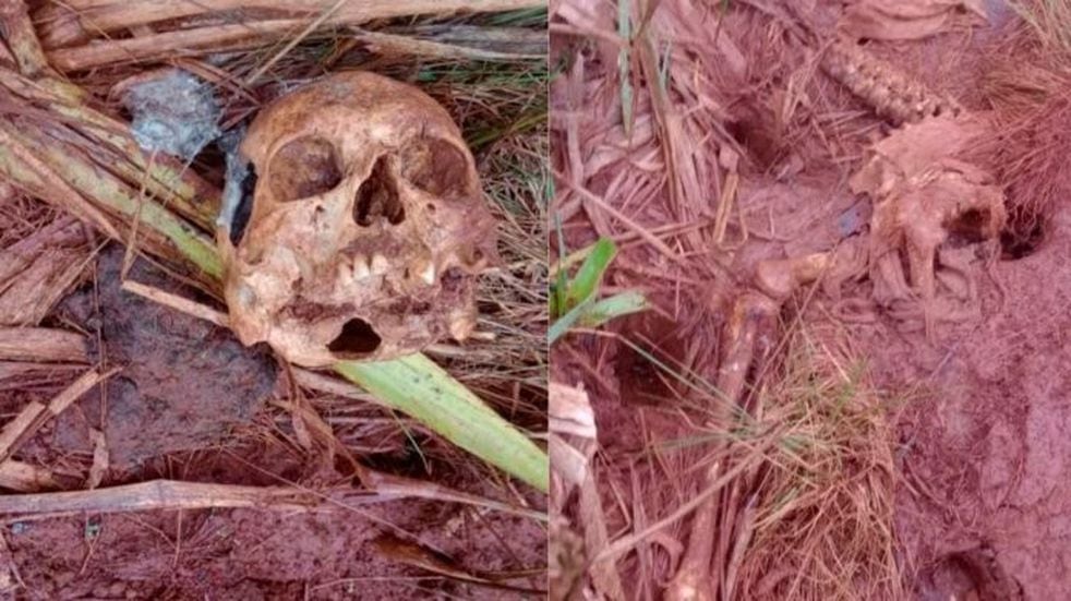 Encuentran restos humanos en un sector de campo en la localidad de Apóstoles.