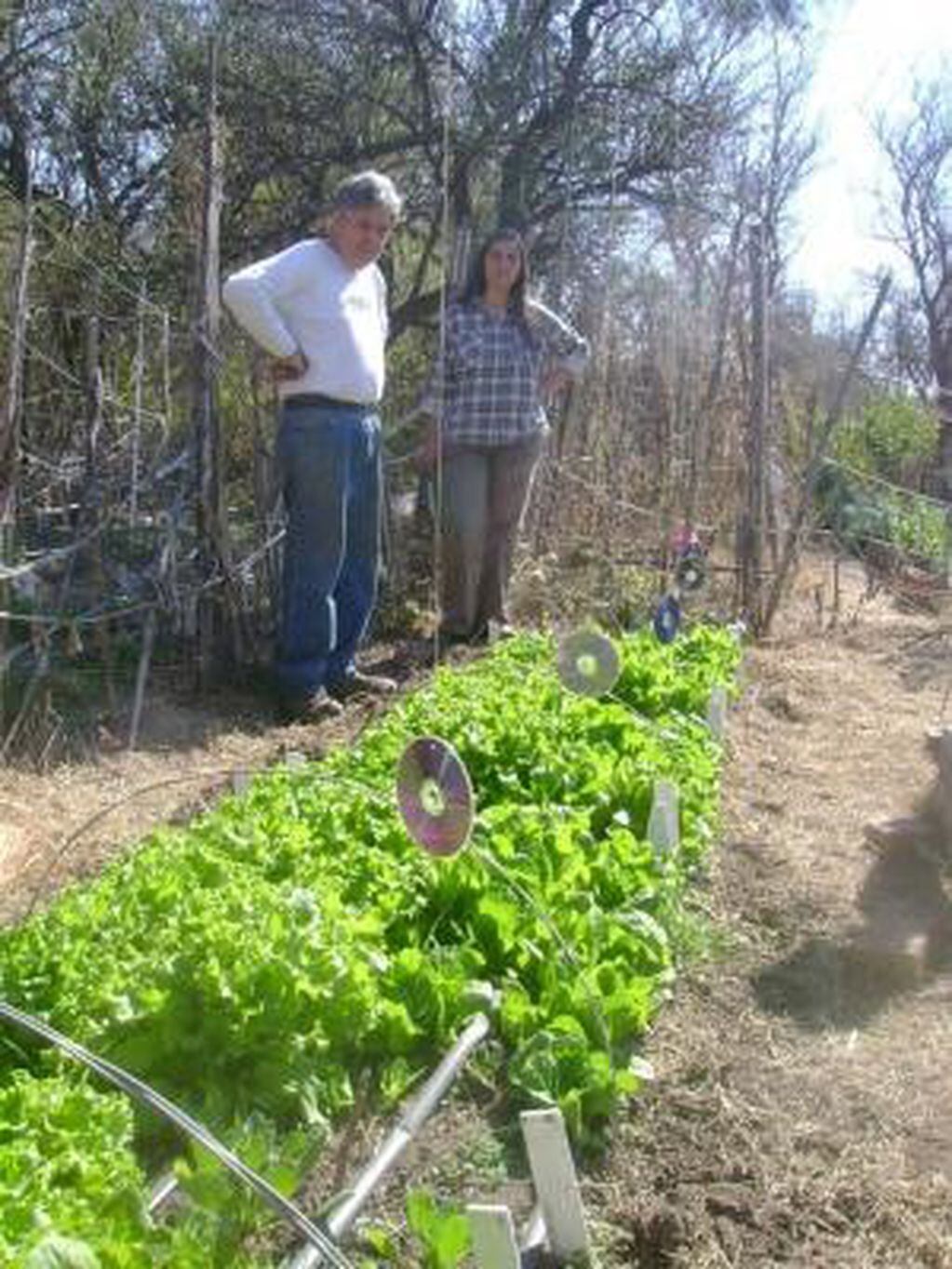 Huerta agroecológicas.