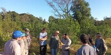 San Pedro: brindan charlas a productores sobre técnicas de cosecha para aumentar rendimiento