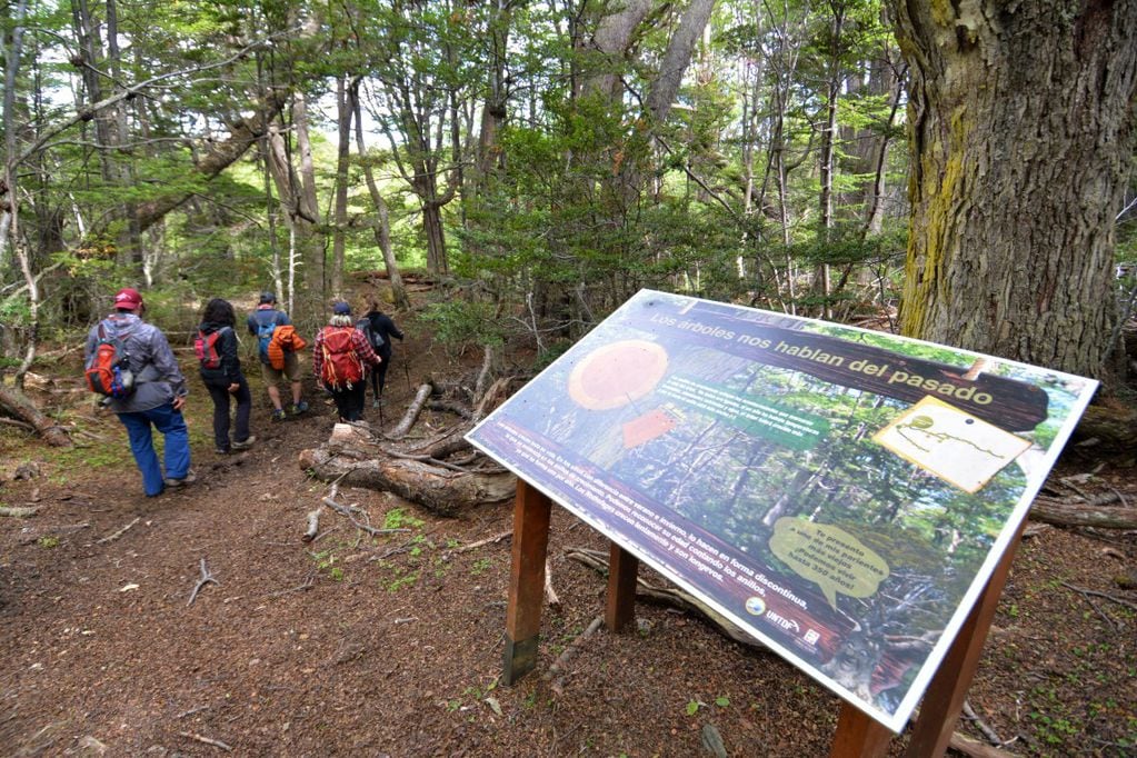 Recomendaciones para visitar el Parque Nacional Tierra del Fuego.