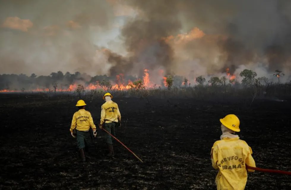 Los incendios en la Amazonía llamaron la atención de todo el mundo.