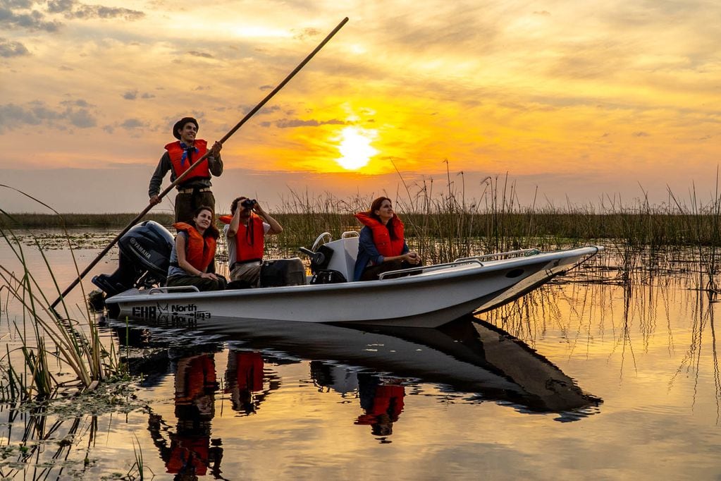 Cuáles son las actividades ideales para disfrutar en verano en los Esteros del Iberá