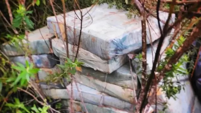 Desmantelan punto de acopio de drogas en San Vicente: 605 ladrillos de marihuana incautados
