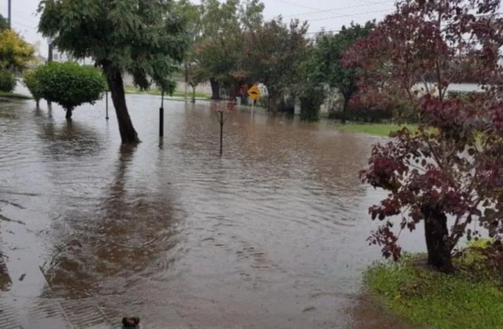 El gobierno afirma que las zonas inundadas están volviendo a la normalidad. (Web)