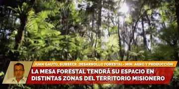 Misiones: la Mesa Forestal recorrerá la provincia promoviendo el cuidado del medio ambiente