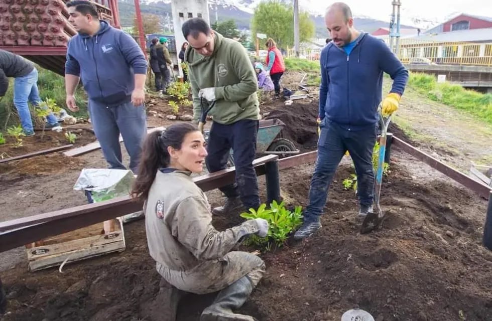 Exitosa jornada de plantación de árboles autóctonos en Ushuaia