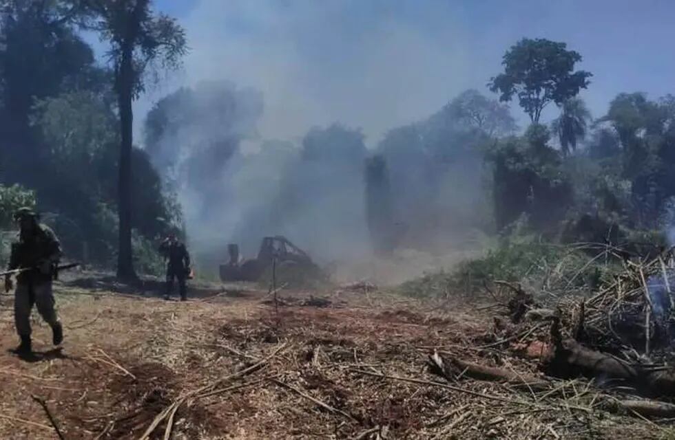 La llegada de lluvia mejora la situación de los incendios en la Reserva Yabotí