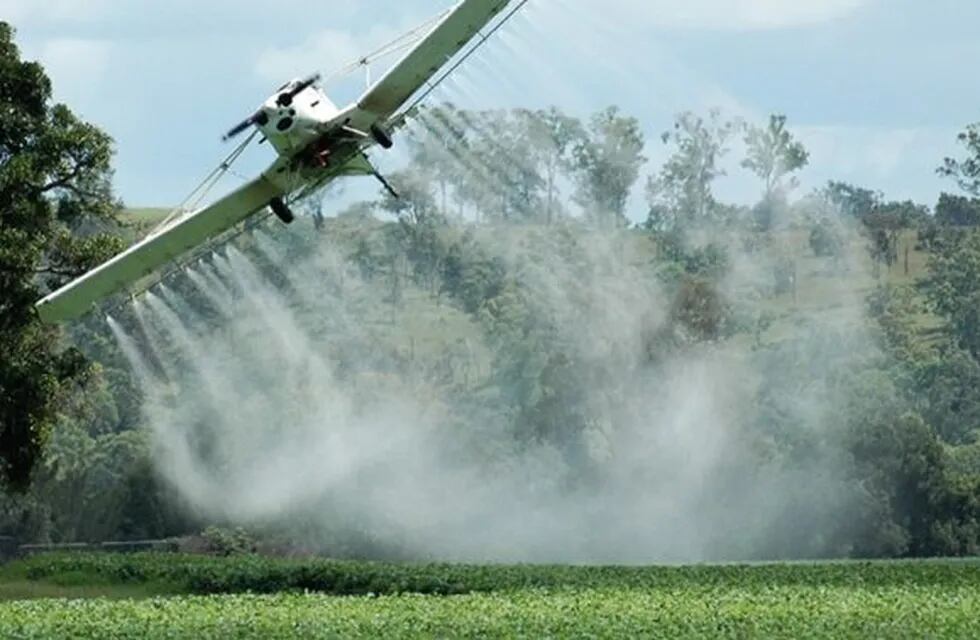 Uso de insecticidas en las plantaciones generan problemas nocivos para la salud.
