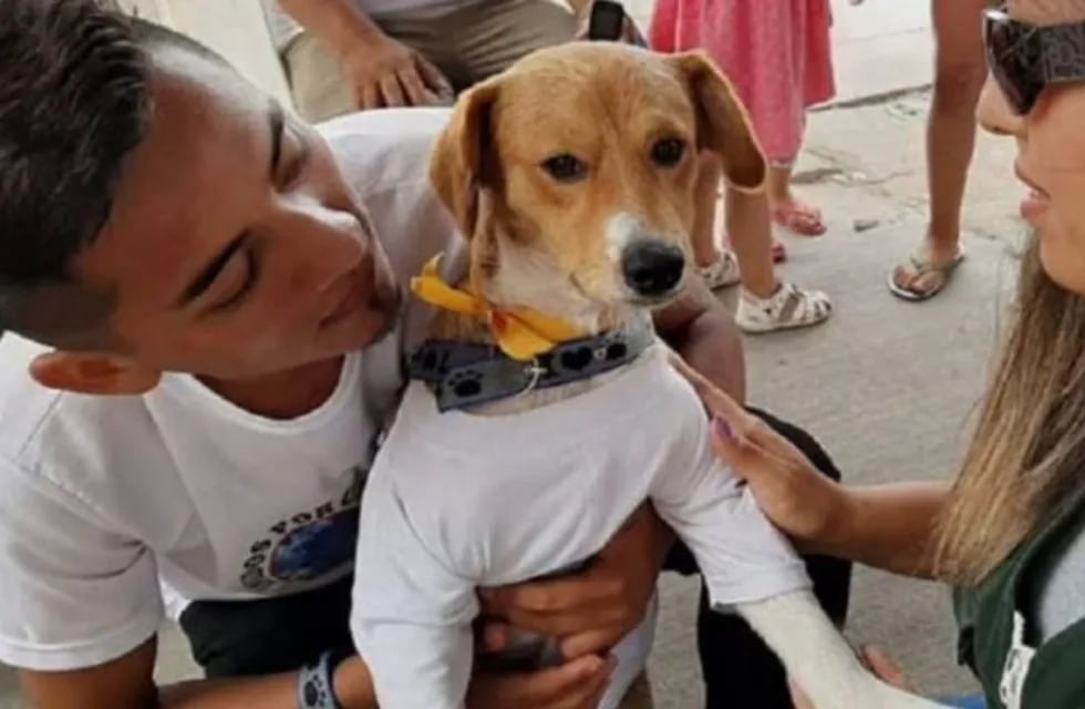 Un niño murió tras salvar a su perro de un incendio (Foto: web)