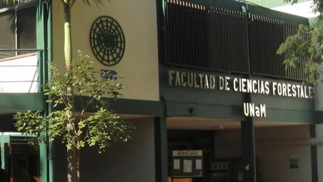 Eldorado: la Facultad de Ciencias Forestales abrió las preinscripciones a carreras para el ciclo 2022