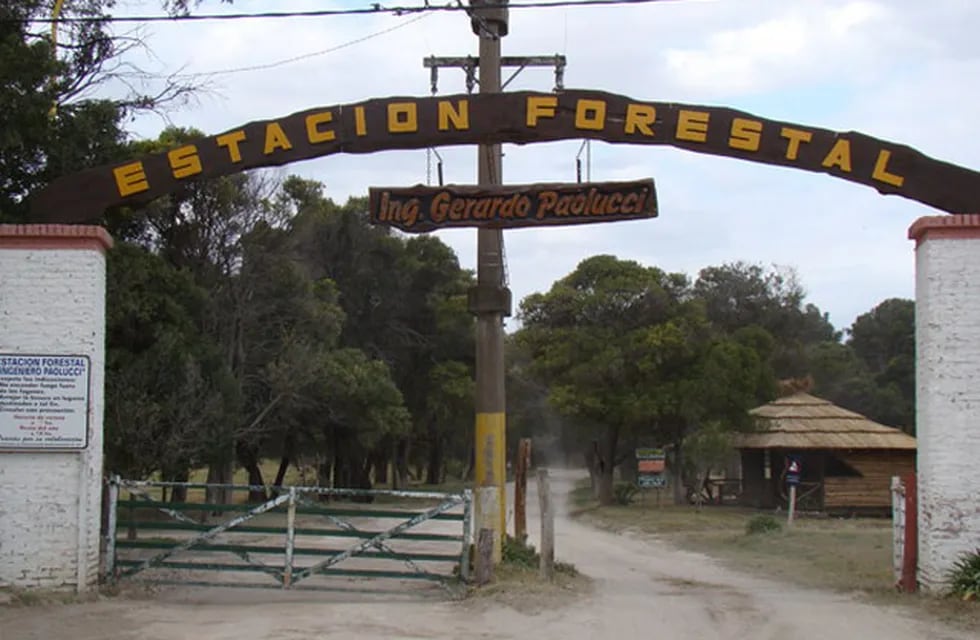 Jornada de forestación colectiva en el vivero de Claromecó (foto: el Periodista Tres Arroyos)