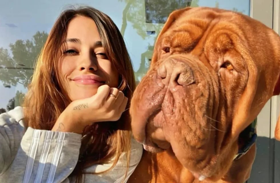El perro de los Messi, Hulk, se robó la atención y dejó al pequeño Abú afuera de la foto en Instagram.