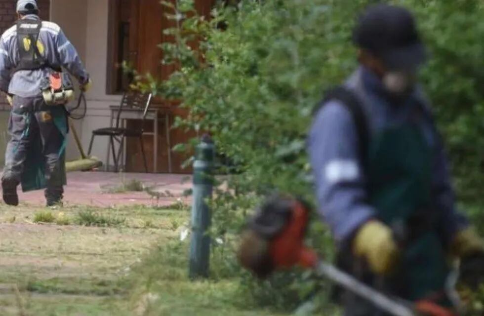 Municipales de Luján de Cuyo cortaron el pasto y quitaron maleza de los jardines del Instituto Próvolo, en Luján de Cuyo.