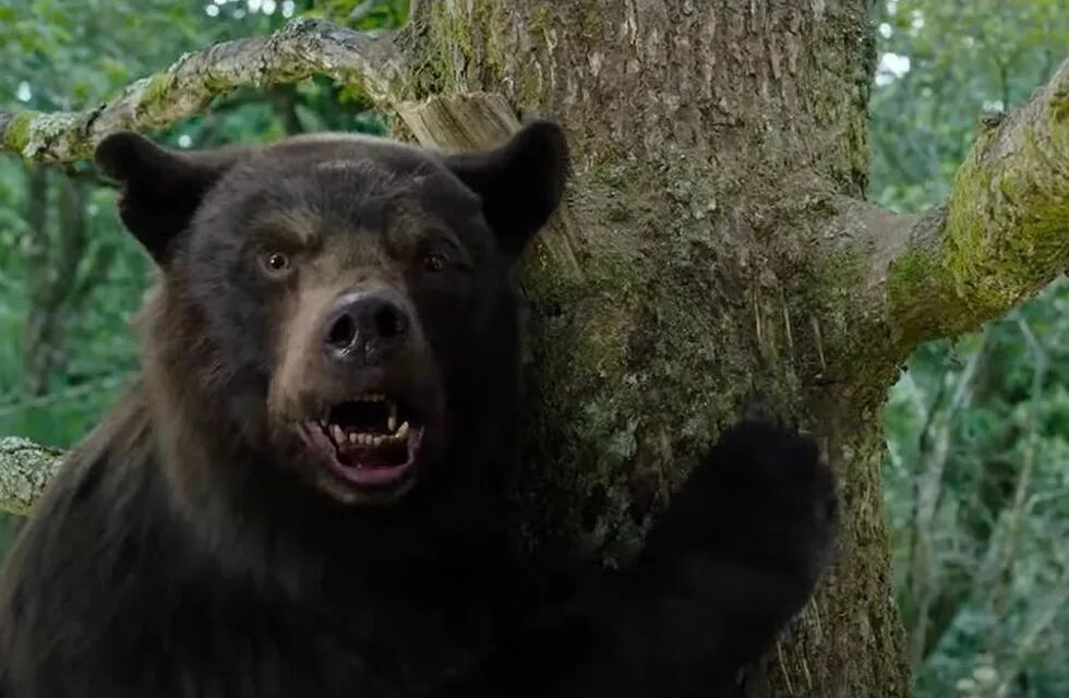 Cocaine Bear, la nueva película de Universal Pictures.