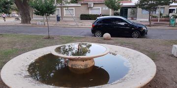 Fuente con agua podrida frente a la dirección de espacios verdes de Córdoba