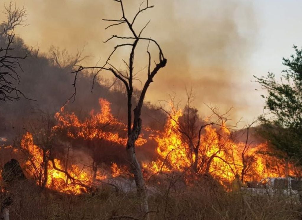 Incendios forestales en diferentes puntos de las sierras cordobesas. (Foto: Gobierno de Córdoba).