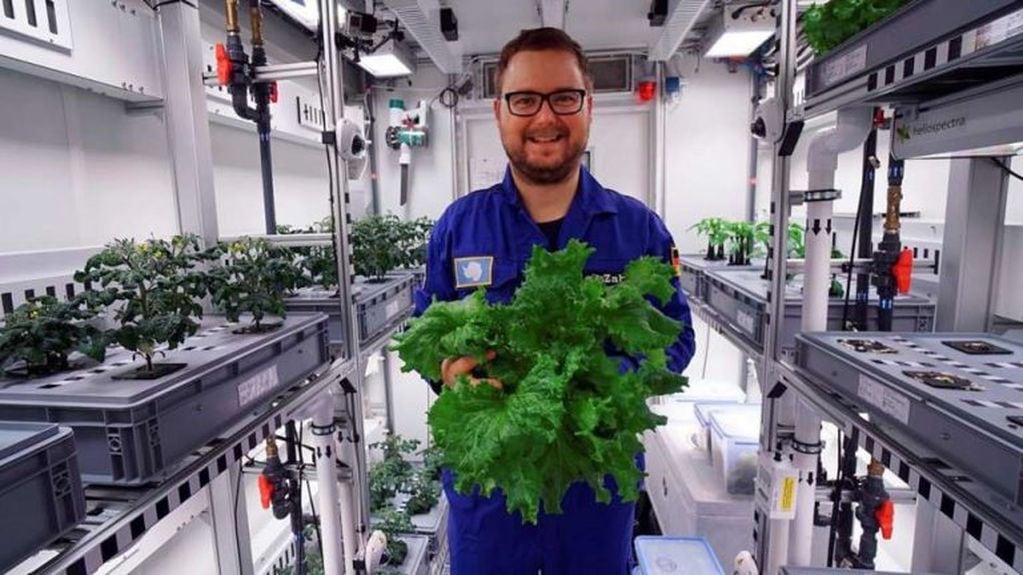 En 2018 la investigación polar alemana Neumayer III a cargo del científico   Paul Zabel logró cultivar vegetales verdes, esto es lo que intentará replicar la dotación Argentina.