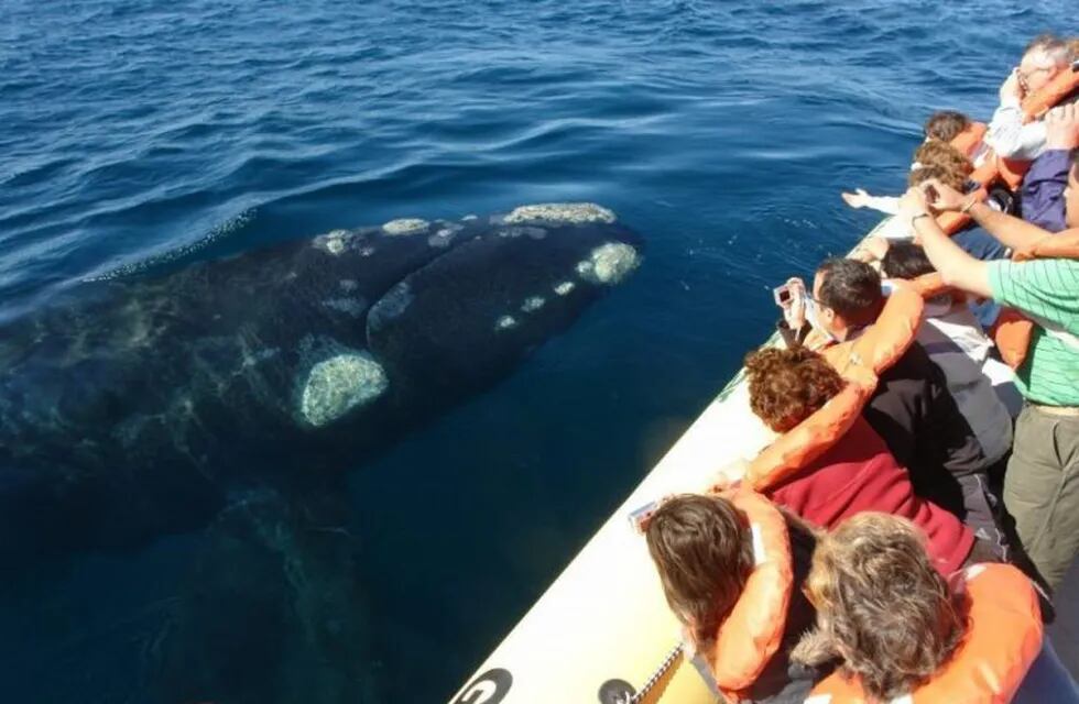 Imagen archivo. Avistaje de ballenas en Península de Valdés.
