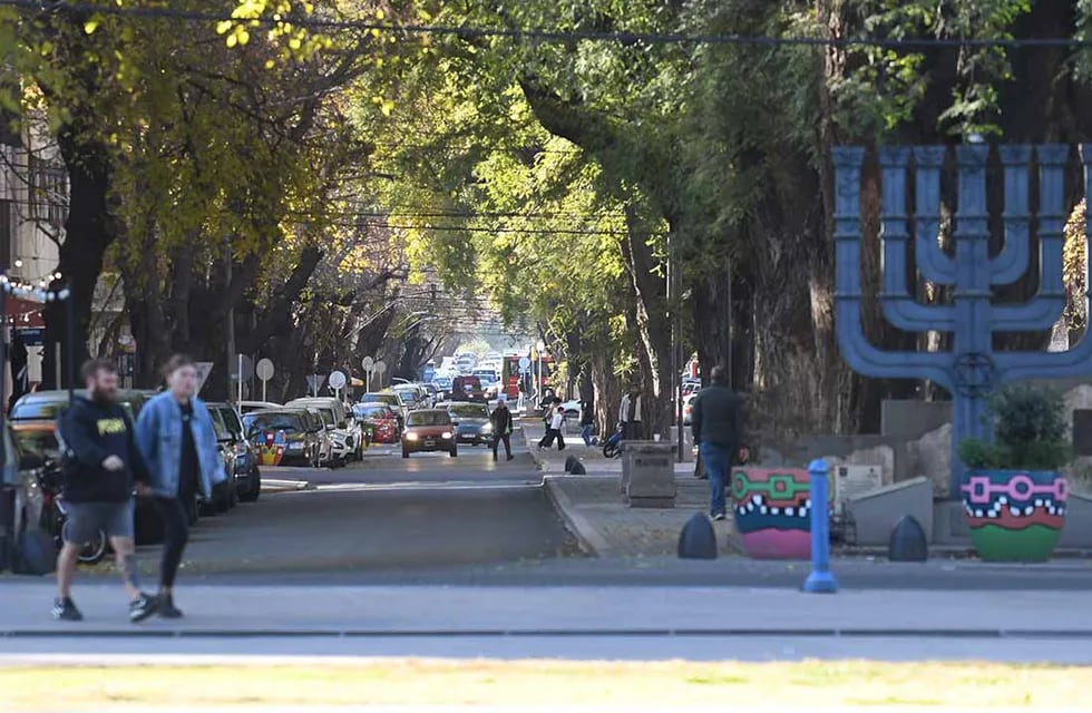 Calle Mitre será una de las elegidas para el cuidado de su arboleda, en Ciudad. 
Foto: José Gutierrez / Los Andes