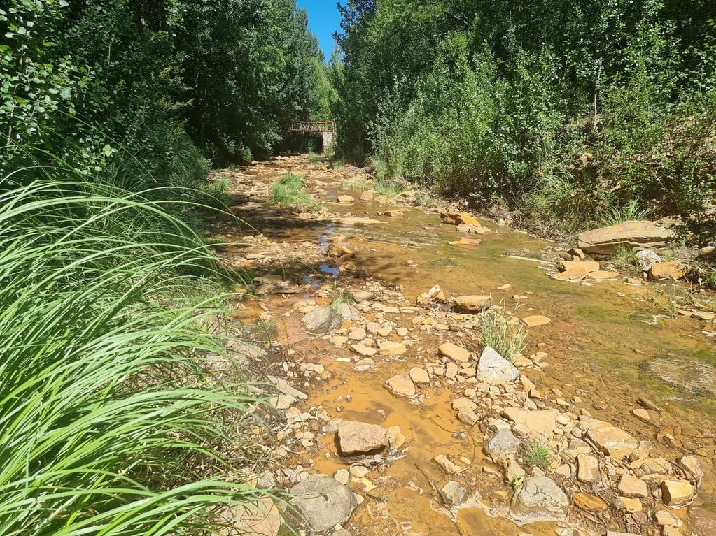 El río de La Carolina posee un color cobrizo por los minerales de su suelo.
