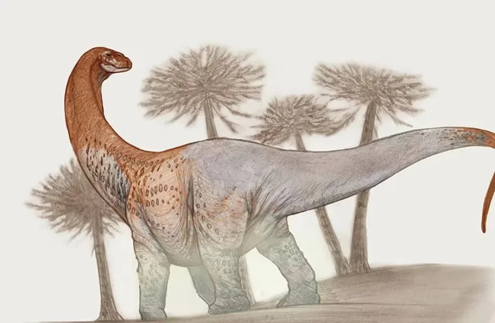 El asombroso dinosaurio encontrado en Río Negro.