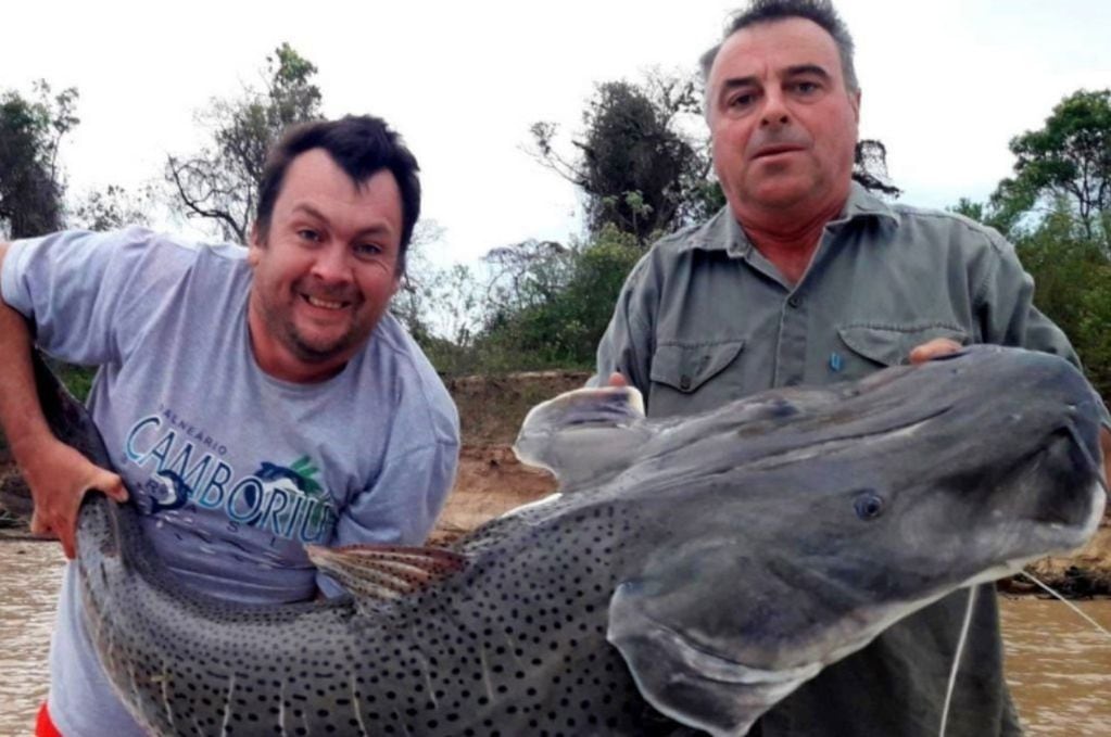 Dos hombres pescaron un surubí de casi 50 kilos en el río Paraná y se volvió viral.