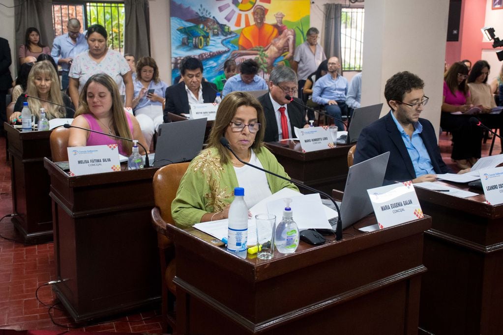 El concejal radical Leandro Giubergia (derecha) argumentó a favor de declarar el "estado de emergencia hídrica, pluvial, vial, social y de infraestructura" para la jurisdicción de San Salvador de Jujuy.