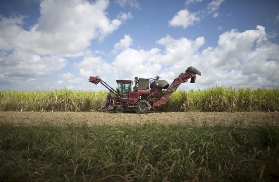 A sugar cane harvester is seen at a sugar cane field in Candelaria, Cuba, in this March 3, 2015 file photo. The worst drought in a century has damaged Cuban sugar cane set for harvesting in the coming months, though recent rainfall means output could still top the previous harvest, the president of the state-run sugar monopoly AZCUBA said on October 6, 2015. Cuba produced 1.9 million tonnes of raw sugar during the 2014-15 harvest, 18 percent more than the previous one, and said earlier this year it expected similar growth in the 2015-16 season, which begins in November and stretches into May. REUTERS/Alexandre Meneghini/Files cuba candelaria  cuba campo plantacion de caña de azucar cosecha maquinas cosechadoras