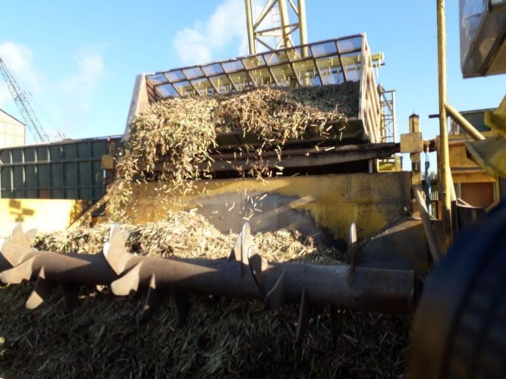 Este año se proyecta moler más de tres millones de toneladas de caña de azúcar en Ledesma.