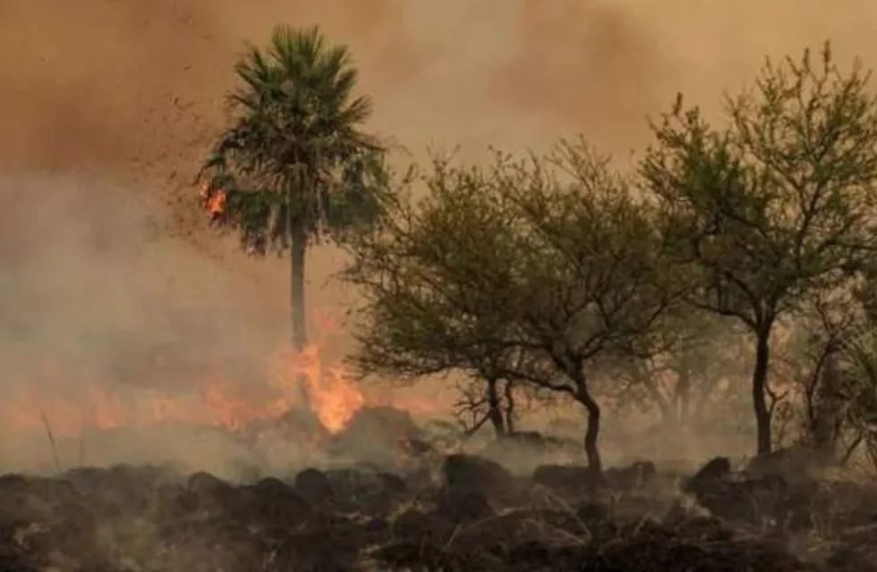 Incendios en Corrientes: este jueves se volvieron a activar los focos de incendios en nueve localidades. (Imagen ilustrativa).