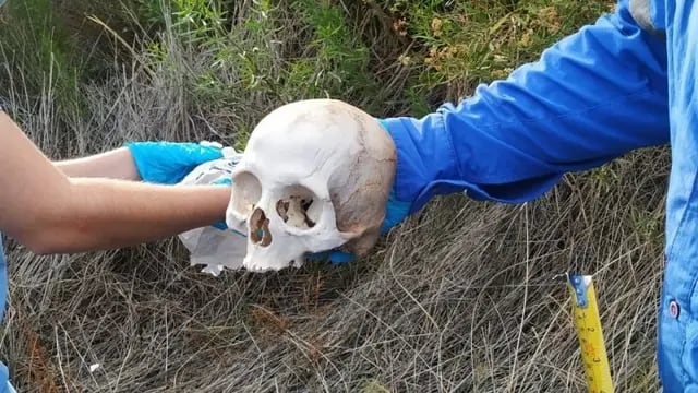 Investigan el hallazgo de un cráneo en un descampado de Rawson