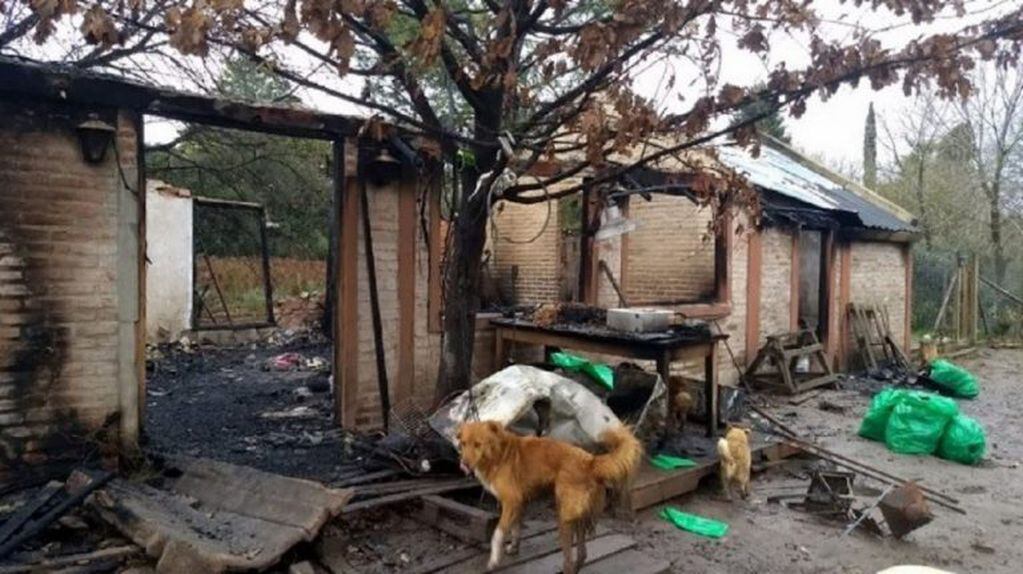 En el incendio murieron 65 perritos
