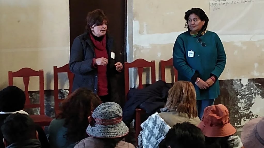 Las ministras de Ambiente y Cambio Climático, María Inés Zigarán, y de Desarrollo Humano, Natalia Sarapura, dieron por iniciado el "año vicuñero" en Jujuy.