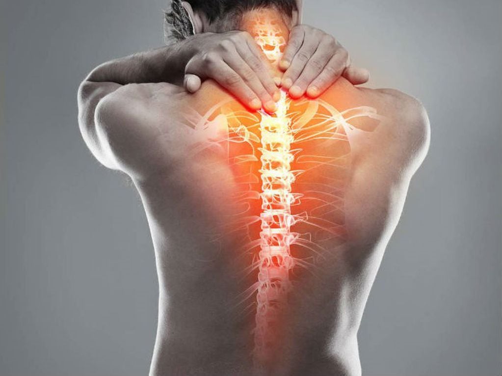Semana del dolor de espalda