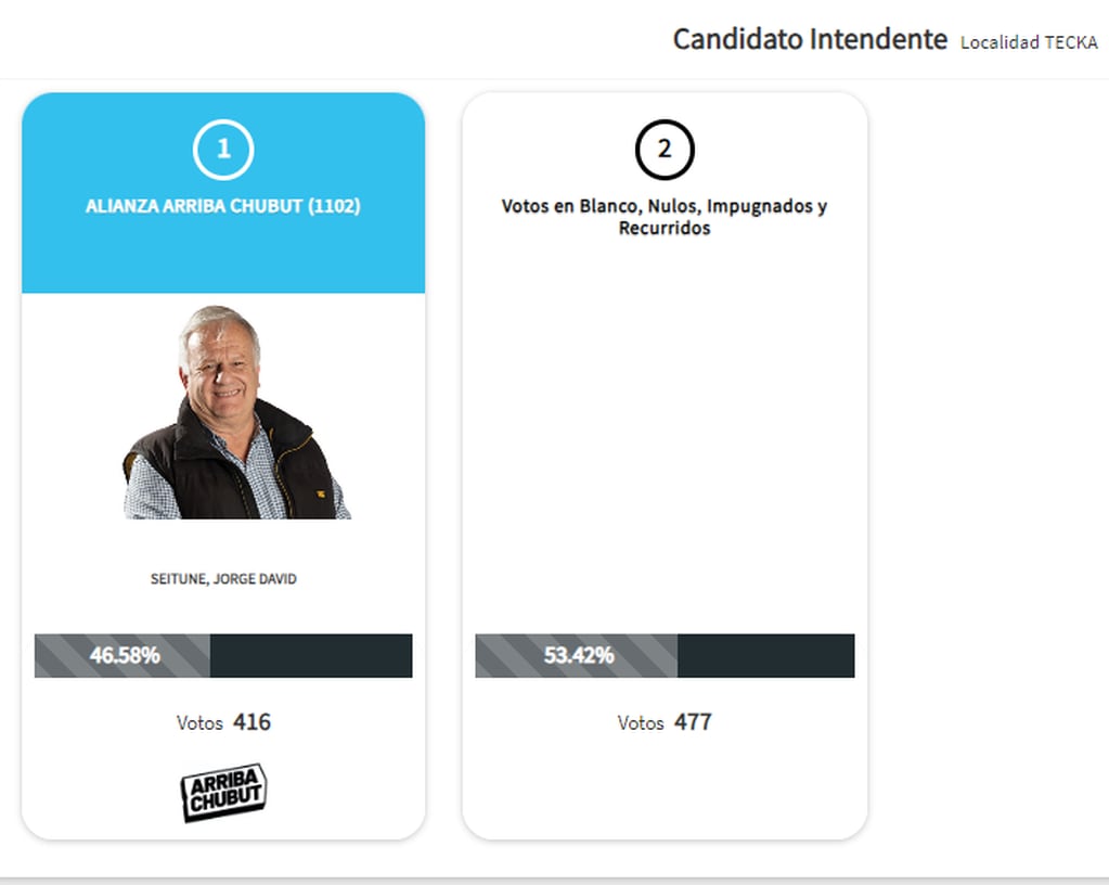 El único candidato a intendente de un pueblo de Chubut fue superado por el voto en blanco.