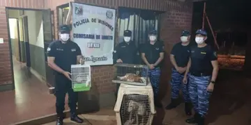 La policía rescató animales maltratados de una vivienda en Loreto