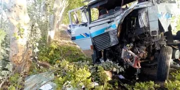 Camión chocó contra un árbol en San Rafael